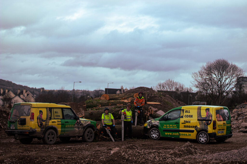 A group of tree surgeons standing in front of a van and a jeep in Cork, Ireland.