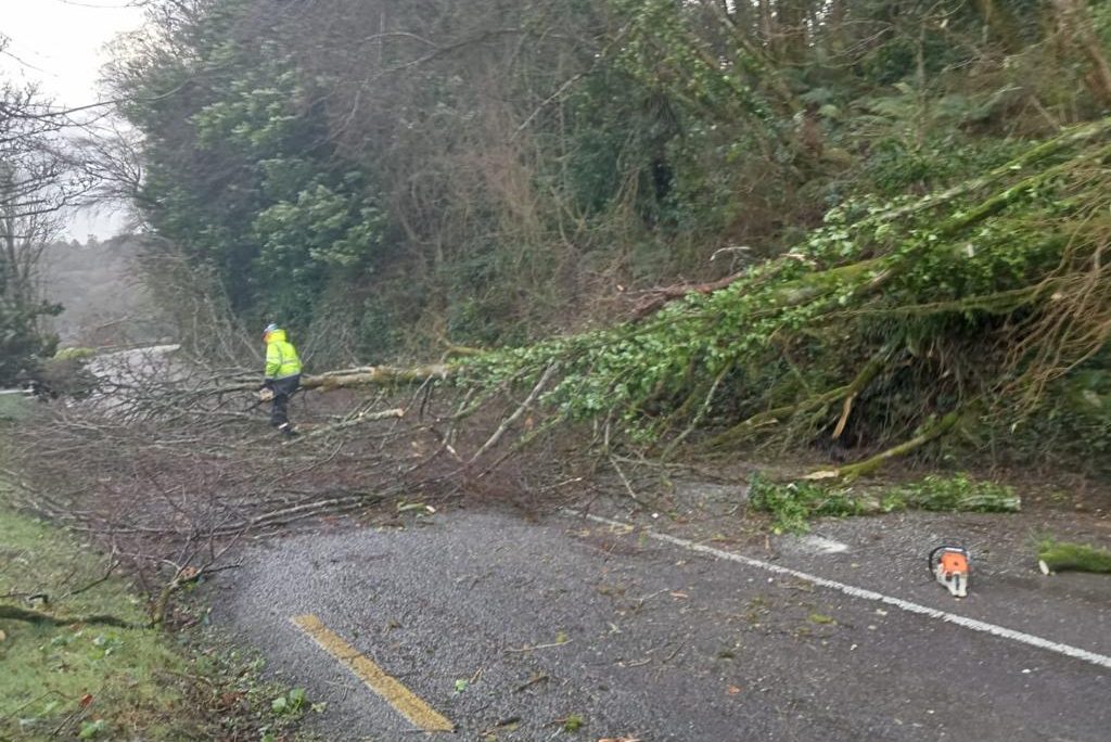 A fallen tree lying across the road obstructing traffic.